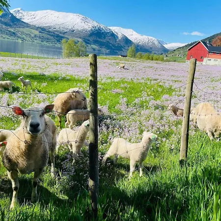 Jolster - View * Årdal