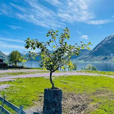 Jolster - View شقة Årdal