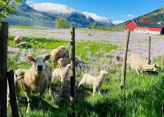 Jolster - View * Årdal