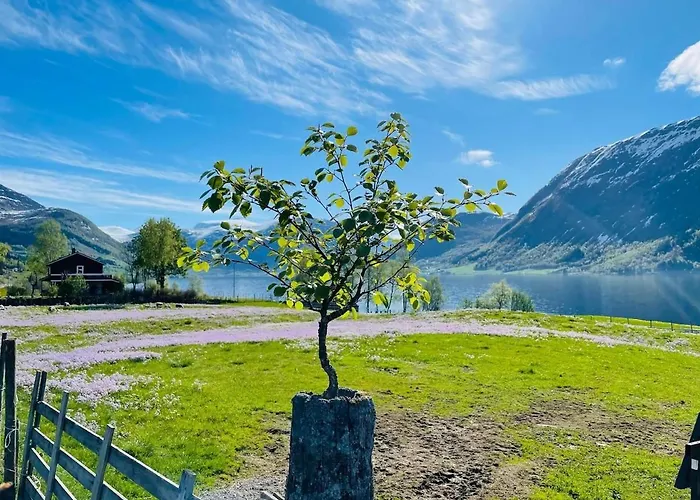 Jolster - View Daire Årdal